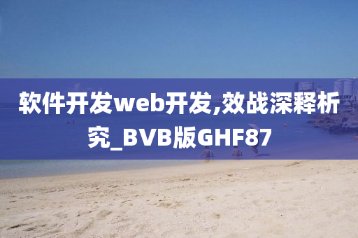 软件开发web开发,效战深释析究_BVB版GHF87