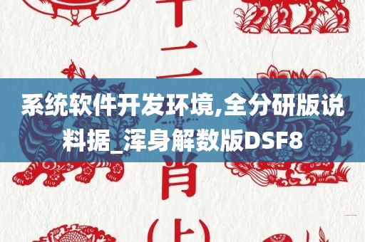 系统软件开发环境,全分研版说料据_浑身解数版DSF8