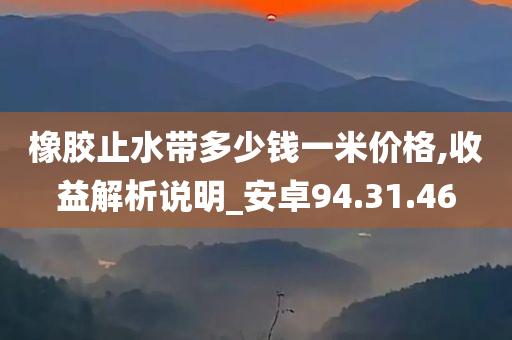 橡胶止水带多少钱一米价格,收益解析说明_安卓94.31.46