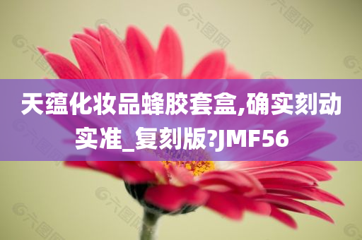 天蕴化妆品蜂胶套盒,确实刻动实准_复刻版?JMF56