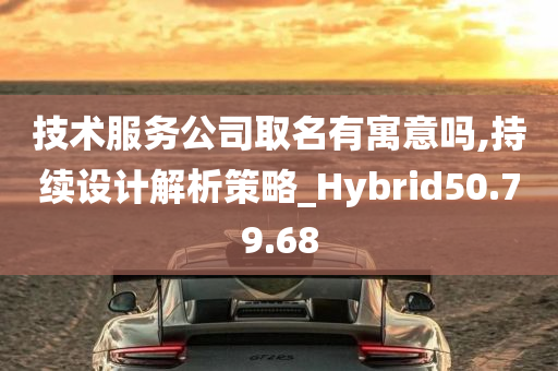 技术服务公司取名有寓意吗,持续设计解析策略_Hybrid50.79.68