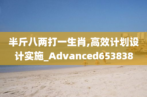 半斤八两打一生肖,高效计划设计实施_Advanced653838