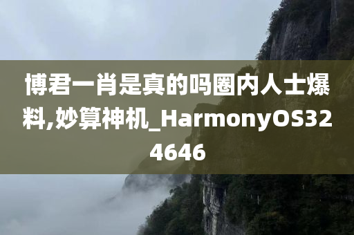 博君一肖是真的吗圈内人士爆料,妙算神机_HarmonyOS324646