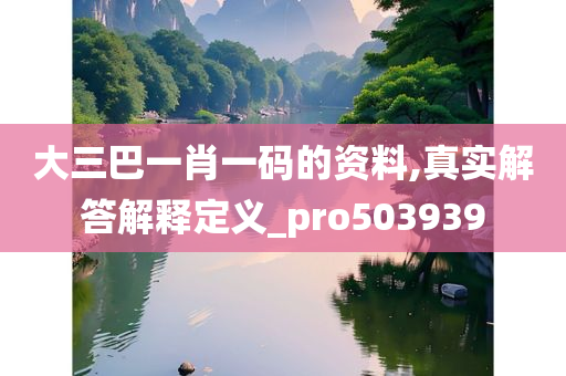 大三巴一肖一码的资料,真实解答解释定义_pro503939