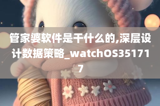 管家婆软件是干什么的,深层设计数据策略_watchOS351717