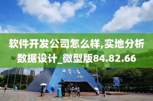 软件开发公司怎么样,实地分析数据设计_微型版84.82.66