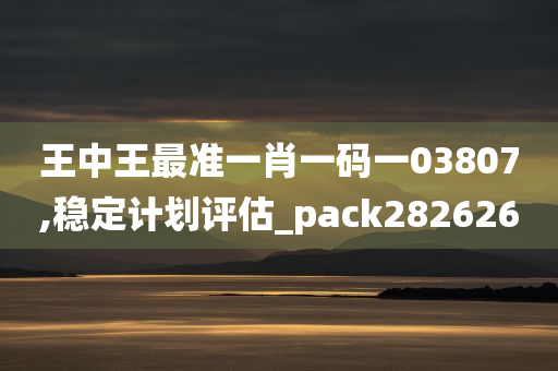 王中王最准一肖一码一03807,稳定计划评估_pack282626