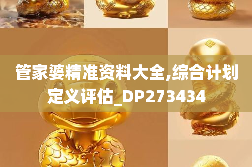 管家婆精准资料大全,综合计划定义评估_DP273434