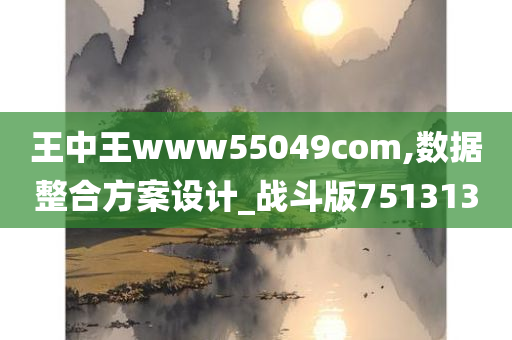 王中王www55049com,数据整合方案设计_战斗版751313