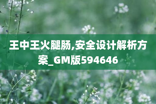 王中王火腿肠,安全设计解析方案_GM版594646