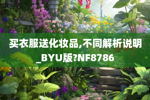 买衣服送化妆品,不同解析说明_BYU版?NF8786