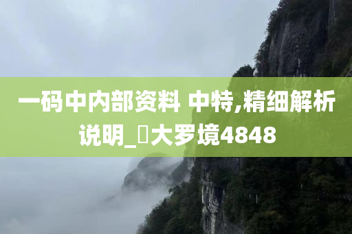 一码中内部资料 中特,精细解析说明_‌大罗境4848