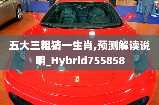 五大三粗猜一生肖,预测解读说明_Hybrid755858