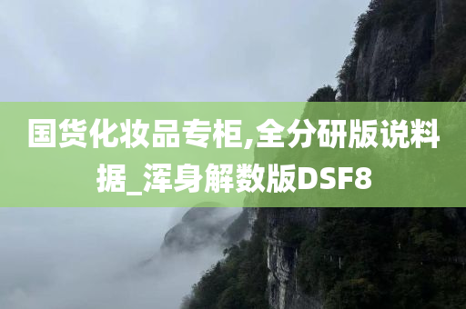 国货化妆品专柜,全分研版说料据_浑身解数版DSF8