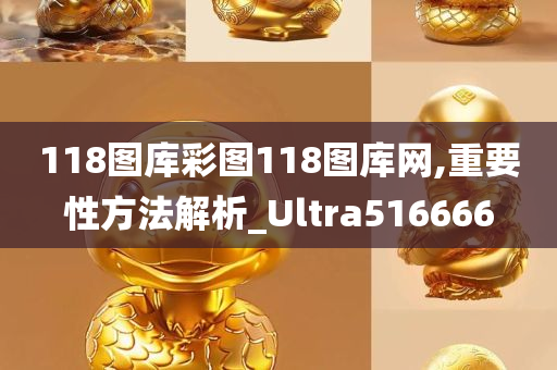 118图库彩图118图库网,重要性方法解析_Ultra516666