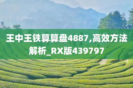 王中王铁算算盘4887,高效方法解析_RX版439797