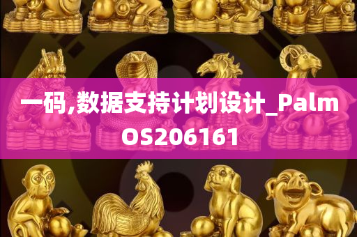 一码,数据支持计划设计_PalmOS206161