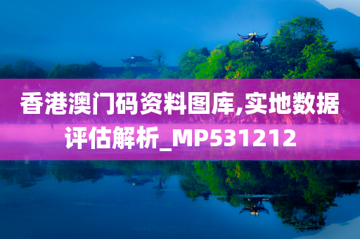 香港澳门码资料图库,实地数据评估解析_MP531212