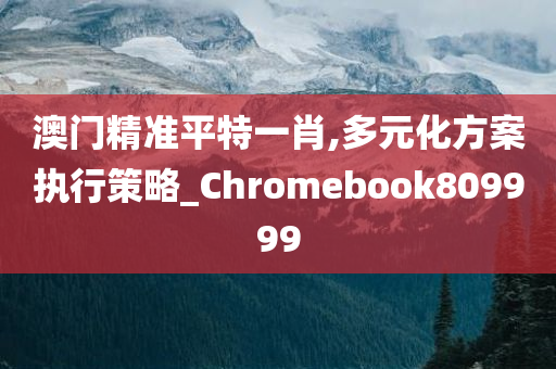 澳门精准平特一肖,多元化方案执行策略_Chromebook809999