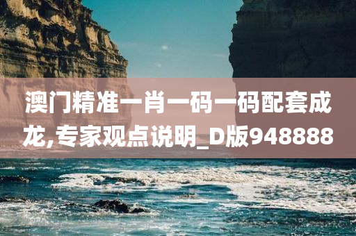 澳门精准一肖一码一码配套成龙,专家观点说明_D版948888