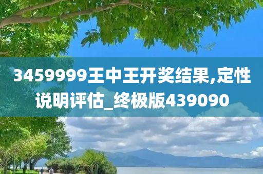 3459999王中王开奖结果,定性说明评估_终极版439090