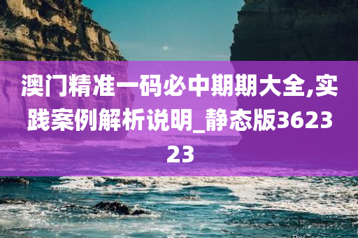 澳门精准一码必中期期大全,实践案例解析说明_静态版362323