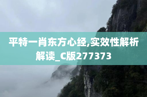 平特一肖东方心经,实效性解析解读_C版277373