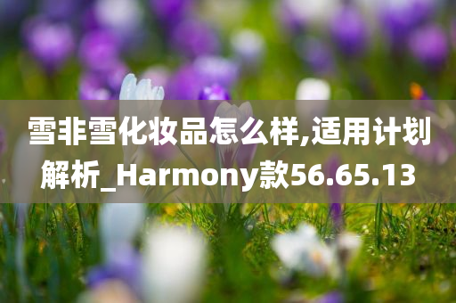 雪非雪化妆品怎么样,适用计划解析_Harmony款56.65.13