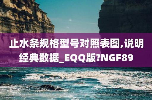 止水条规格型号对照表图,说明经典数据_EQQ版?NGF89