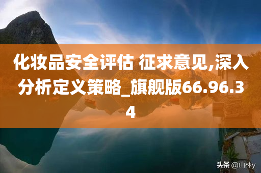 化妆品安全评估 征求意见,深入分析定义策略_旗舰版66.96.34