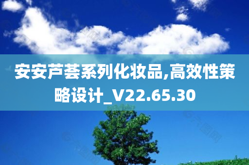 安安芦荟系列化妆品,高效性策略设计_V22.65.30