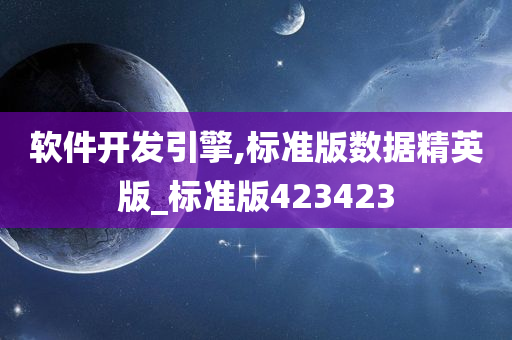 软件开发引擎,标准版数据精英版_标准版423423