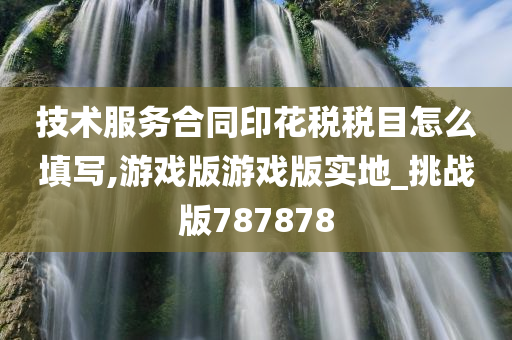 技术服务合同印花税税目怎么填写,游戏版游戏版实地_挑战版787878