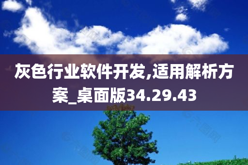 灰色行业软件开发,适用解析方案_桌面版34.29.43