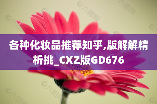 各种化妆品推荐知乎,版解解精析挑_CXZ版GD676