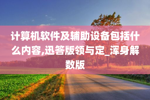 计算机软件及辅助设备包括什么内容,迅答版领与定_浑身解数版