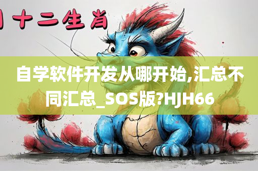 自学软件开发从哪开始,汇总不同汇总_SOS版?HJH66