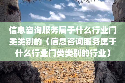 信息咨询服务属于什么行业门类类别的（信息咨询服务属于什么行业门类类别的行业）