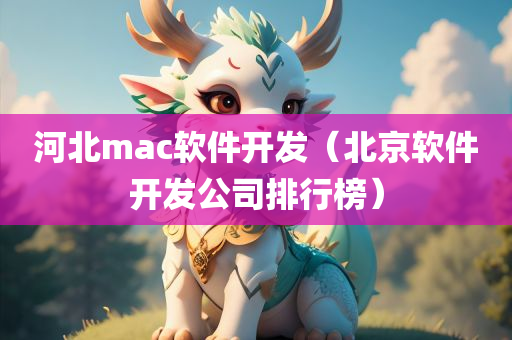 河北mac软件开发（北京软件开发公司排行榜）