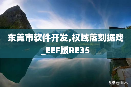 东莞市软件开发,权域落刻据戏_EEF版RE35