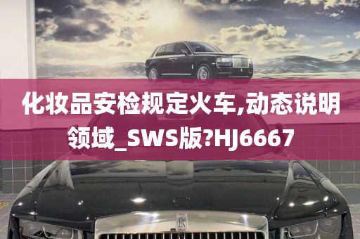 化妆品安检规定火车,动态说明领域_SWS版?HJ6667