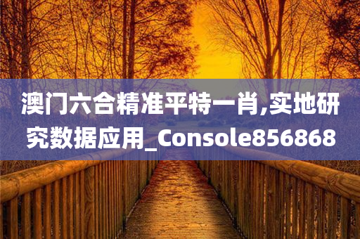 澳门六合精准平特一肖,实地研究数据应用_Console856868