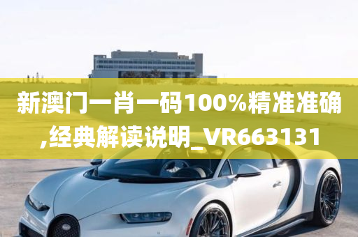 新澳门一肖一码100%精准准确,经典解读说明_VR663131