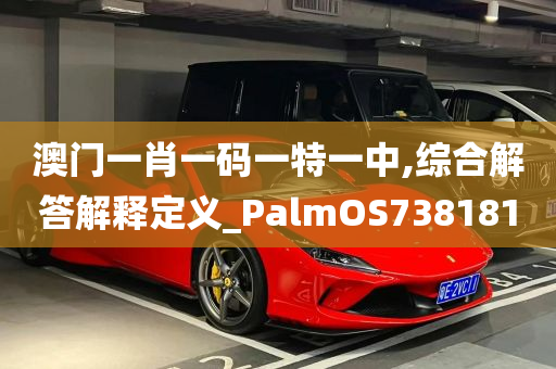 澳门一肖一码一特一中,综合解答解释定义_PalmOS738181