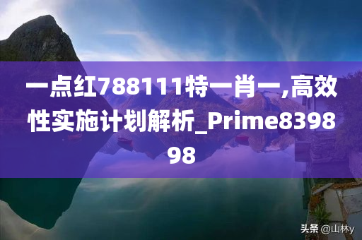 一点红788111特一肖一,高效性实施计划解析_Prime839898