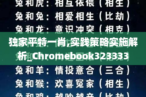 独家平特一肖,实践策略实施解析_Chromebook323333