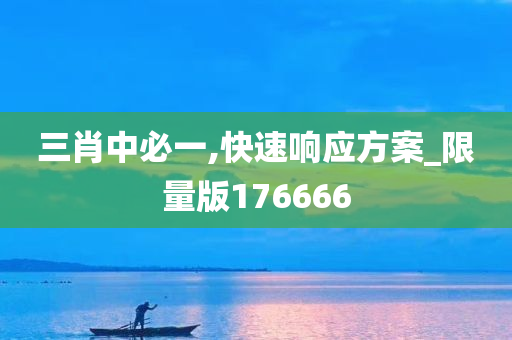 三肖中必一,快速响应方案_限量版176666