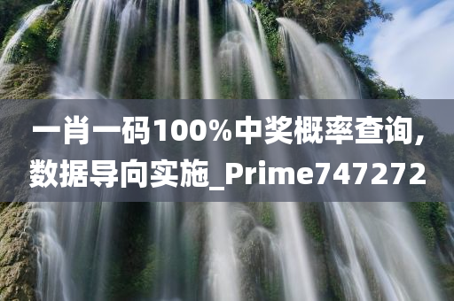 一肖一码100%中奖概率查询,数据导向实施_Prime747272