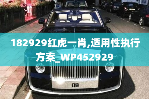 182929红虎一肖,适用性执行方案_WP452929