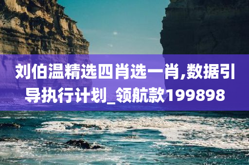 刘伯温精选四肖选一肖,数据引导执行计划_领航款199898